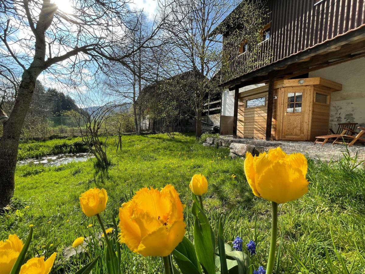 Miramont Horse Trekking Hostel Saicourt Εξωτερικό φωτογραφία