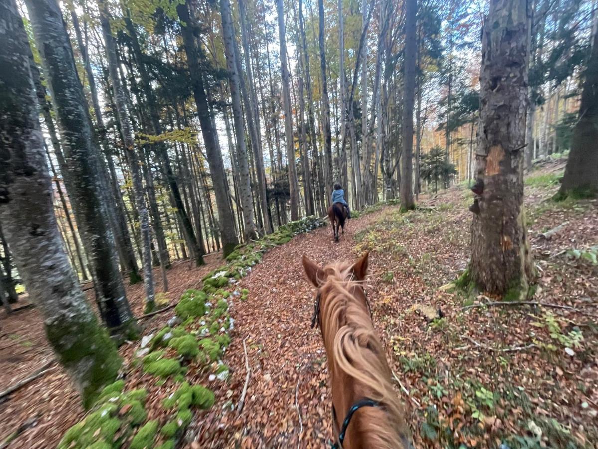 Miramont Horse Trekking Hostel Saicourt Εξωτερικό φωτογραφία